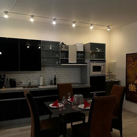 Apartmán U Parku Parukářka *